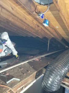 Aberdeen Township Attic Indoor Air Quality