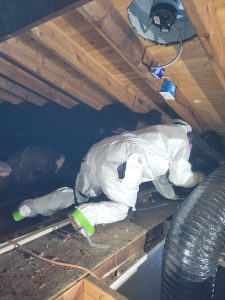Upper Freehold Township Attic Mold